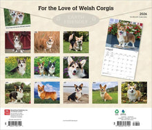 Load image into Gallery viewer, Browntrout For the Love of Welsh Corgis 2026 14 x 12 Wall Calendar