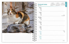 Load image into Gallery viewer, Browntrout Cat Lovers 2026 6 x 7.75 Weekly Engagement Planner