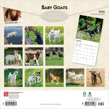 Load image into Gallery viewer, Browntrout Baby Goats 2026 12 x 12 Wall Calendar