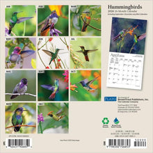 Load image into Gallery viewer, Browntrout Hummingbirds 2026 7 x 7 Mini Calendar