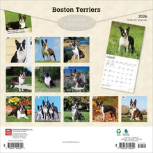 Load image into Gallery viewer, Browntrout Boston Terriers 2026 12 x 12 Wall Calendar