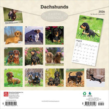 Load image into Gallery viewer, Browntrout Dachshunds 2026 12 x 12 Wall Calendar