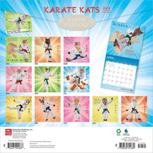 Load image into Gallery viewer, Browntrout Karate Cats OFFICIAL 2026 12 x 12 Wall Calendar