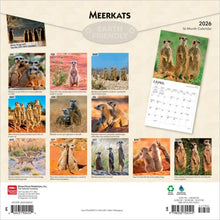 Load image into Gallery viewer, Browntrout Meerkats 2026 12 x 12 Wall Calendar