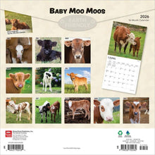 Load image into Gallery viewer, Browntrout Baby Moo Moos 2026 12 x 12 Wall Calendar