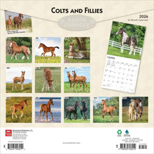 Load image into Gallery viewer, Browntrout Colts and Fillies 2026 12 x 12 Wall Calendar