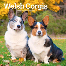 Load image into Gallery viewer, Browntrout Welsh Corgis 2026 7 x 7 Mini Calendar