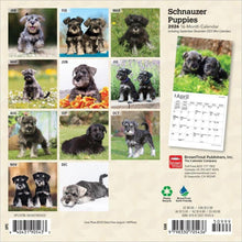 Load image into Gallery viewer, Browntrout Schnauzer Puppies 2026 7 x 7 Mini Calendar