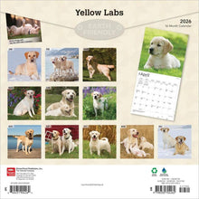 Load image into Gallery viewer, Browntrout Yellow Labrador Retrievers 2026 12 x 12 Wall Calendar