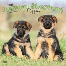 Load image into Gallery viewer, Browntrout German Shepherd Puppies 2026 12 x 12 Wall Calendar