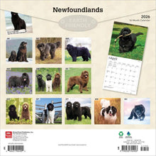 Load image into Gallery viewer, Browntrout Newfoundlands 2026 12 x 12 Wall Calendar