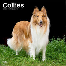 Load image into Gallery viewer, Browntrout Collies 2026 12 x 12 Wall Calendar