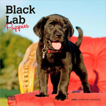 Load image into Gallery viewer, Browntrout Black Labrador Retriever Puppies 2026 7 x 7 Mini Calendar