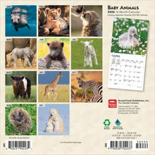 Load image into Gallery viewer, Browntrout Baby Animals 2026 7 x 7 Mini Calendar