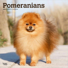 Load image into Gallery viewer, Browntrout Pomeranians 2026 12 x 12 Wall Calendar