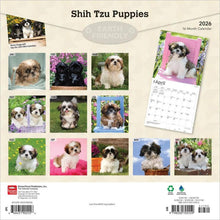 Load image into Gallery viewer, Browntrout Shih Tzu Puppies 2026 12 x 12 Wall Calendar