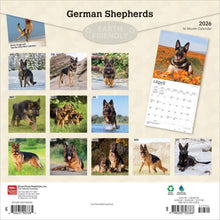 Load image into Gallery viewer, Browntrout German Shepherds 2026 12 x 12 Wall Calendar