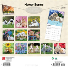 Load image into Gallery viewer, Browntrout Honey Bunny 2026 12 x 12 Wall Calendar