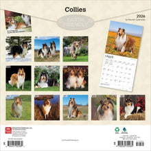 Load image into Gallery viewer, Browntrout Collies 2026 12 x 12 Wall Calendar