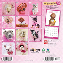 Load image into Gallery viewer, Browntrout Puppies in Pink 2026 7 x 7 Mini Calendar