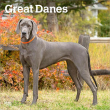 Load image into Gallery viewer, Browntrout Great Danes 2026 12 x 12 Wall Calendar