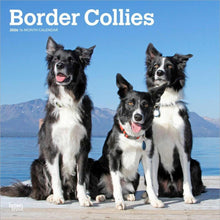 Load image into Gallery viewer, Browntrout Border Collies 2026 12 x 12 Wall Calendar