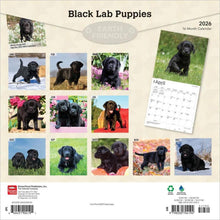 Load image into Gallery viewer, Browntrout Black Labrador Retriever Puppies 2026 12 x 12 Wall Calendar