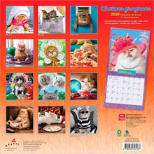Load image into Gallery viewer, Browntrout Avanti Chatons Grognons OFFICIAL 2026 12 x 12 Wall Calendar