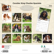 Load image into Gallery viewer, Browntrout Cavalier King Charles Spaniels 2026 12 x 12 Wall Calendar