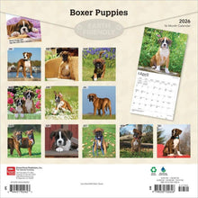 Load image into Gallery viewer, Browntrout Boxer Puppies 2026 12 x 12 Wall Calendar