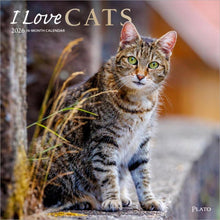 Load image into Gallery viewer, Browntrout I Love Cats 2026 12 x 12 Wall Calendar