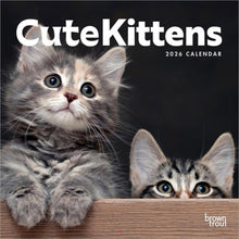 Load image into Gallery viewer, Browntrout Cute Kittens 2026 12 x 12 Wall Calendar