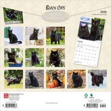 Load image into Gallery viewer, Browntrout Black Cats 2026 12 x 12 Wall Calendar