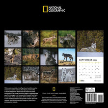Load image into Gallery viewer, Universe National Geographic: Wolves 12x12 2026 Wall Calendar
