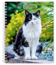 Load image into Gallery viewer, Browntrout Cat Lovers 2026 6 x 7.75 Weekly Engagement Planner