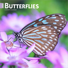 Load image into Gallery viewer, Browntrout Butterflies 2026 12 x 12 Wall Calendar