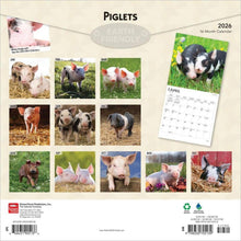 Load image into Gallery viewer, Browntrout Piglets 2026 12 x 12 Wall Calendar