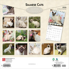 Load image into Gallery viewer, Browntrout Siamese Cats 2026 12 x 12 Wall Calendar