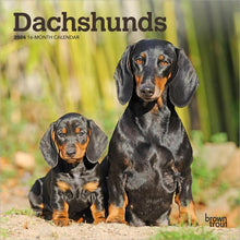 Load image into Gallery viewer, Browntrout Dachshunds 2026 7 x 7 Mini Calendar