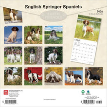 Load image into Gallery viewer, Browntrout English Springer Spaniels 2026 12 x 12 Wall Calendar