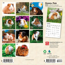 Load image into Gallery viewer, Browntrout Guinea Pigs 2026 7 x 7 Mini Calendar