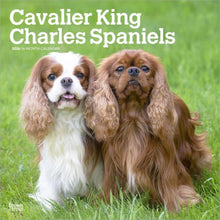 Load image into Gallery viewer, Browntrout Cavalier King Charles Spaniels 2026 12 x 12 Wall Calendar