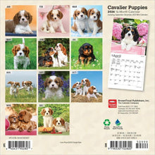 Load image into Gallery viewer, Browntrout Cavalier King Charles Spaniel Puppies 2026 7 x 7 Mini Calendar