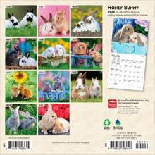Load image into Gallery viewer, Browntrout Honey Bunny 2026 7 x 7 Mini Calendar
