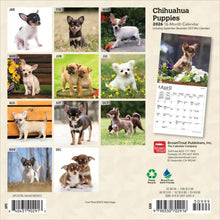 Load image into Gallery viewer, Browntrout Chihuahua Puppies 2026 7 x 7 Mini Calendar