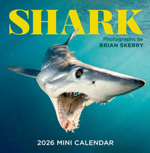 Load image into Gallery viewer, Workman Shark 2026 Mini Calendar