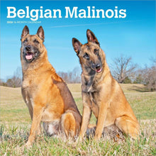 Load image into Gallery viewer, Browntrout Belgian Malinois 2026 12 x 12 Wall Calendar