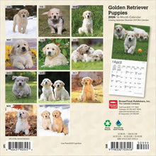Load image into Gallery viewer, Browntrout Golden Retriever Puppies 2026 7 x 7 Mini Calendar