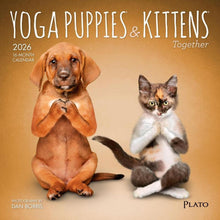 Load image into Gallery viewer, Browntrout Yoga Puppies & Kittens Together OFFICIAL 2026 7 x 7 Mini Calendar