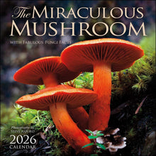 Load image into Gallery viewer, Amber Lotus The Miraculous Mushroom 12x12 2026 Wall Calendar